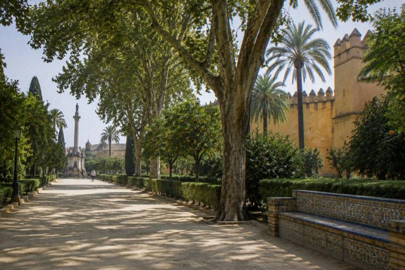 Dappled shade in Seville's Murillo Gardens, a wide gravel path under big old trees with a tiled bench along one side, the ochre wall of the Alcazar behind palms, a tall column monument in the distance, one tiny distant walker.