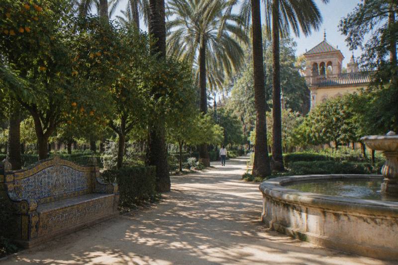 Light dappled through tall palms and orange trees on a shaded path in Maria Luisa Park in Seville, a tile-faced bench and a low stone fountain basin to the side, soft green background, one tiny distant walker from behind.