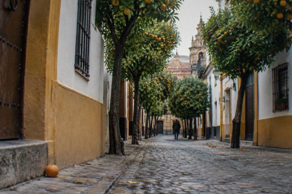 Orange trees lining a narrow Seville street with painted facades