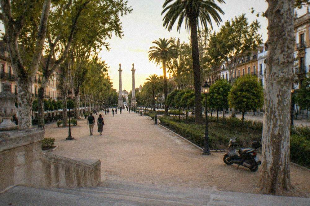 An open plaza in Seville with historic buildings under a warm evening sky
