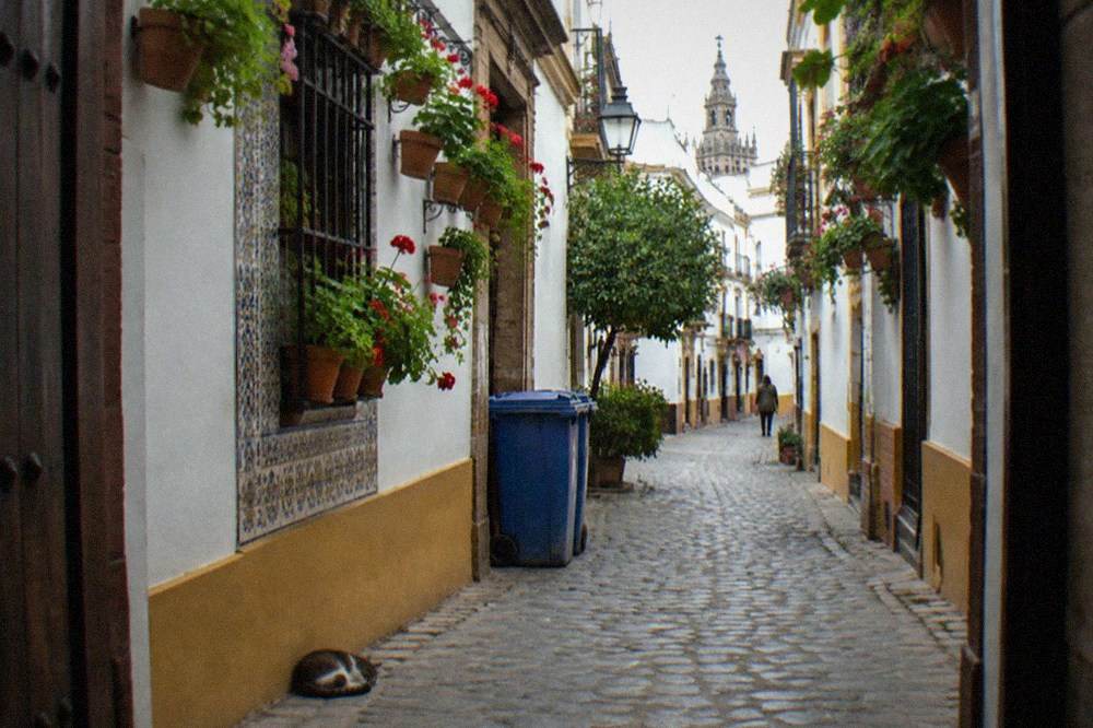 A narrow Santa Cruz street with white walls, hanging plants and tiled facades