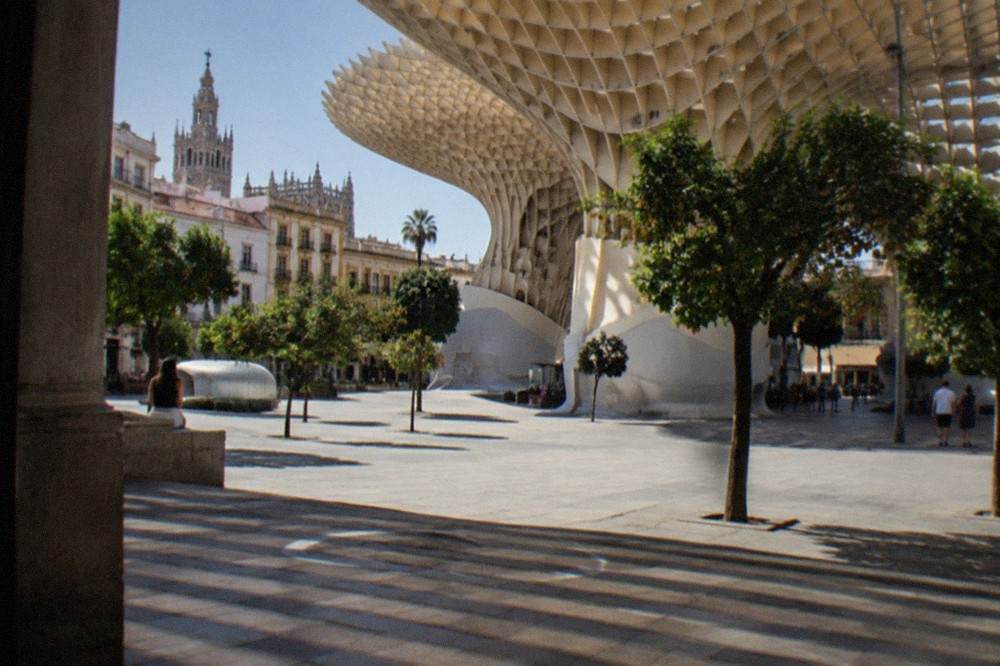 A sunlit Seville plaza with orange trees and historic facades