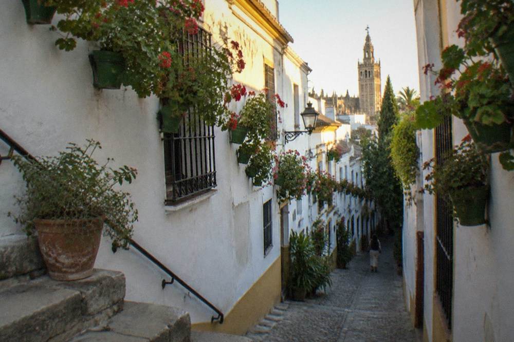A narrow Santa Cruz street with white walls and hanging plants