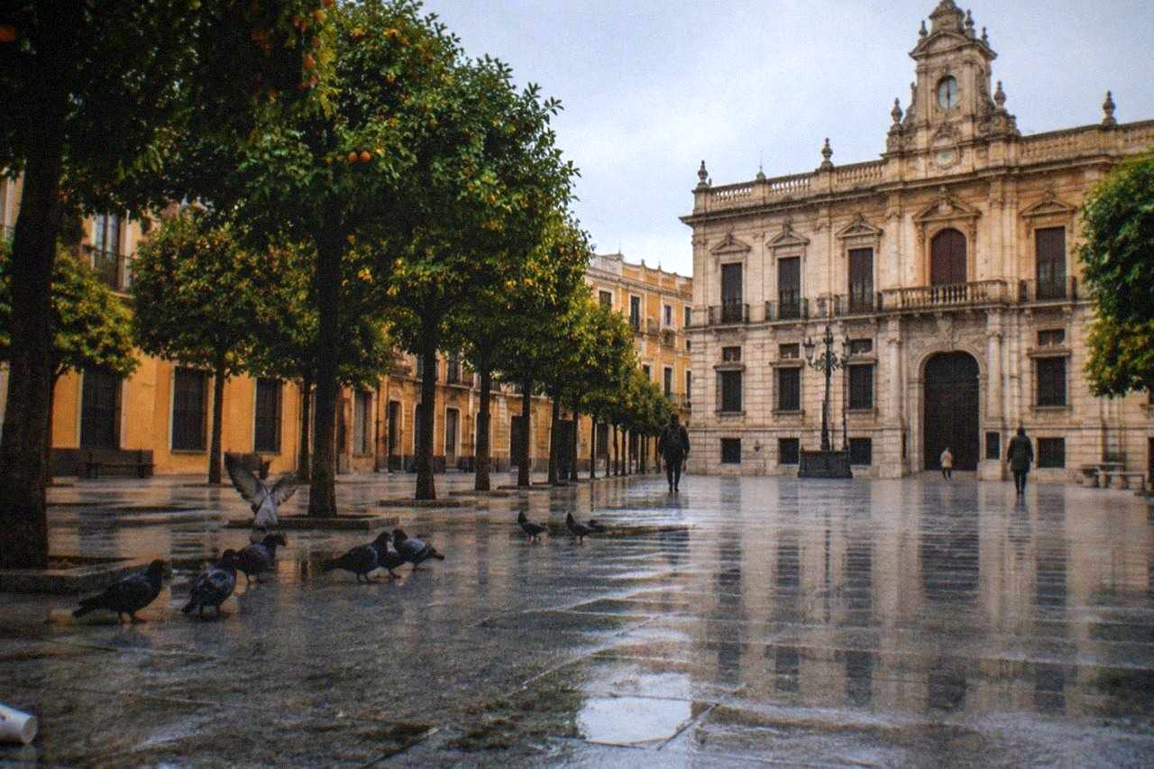 A quiet square in central Seville with orange trees and shuttered facades