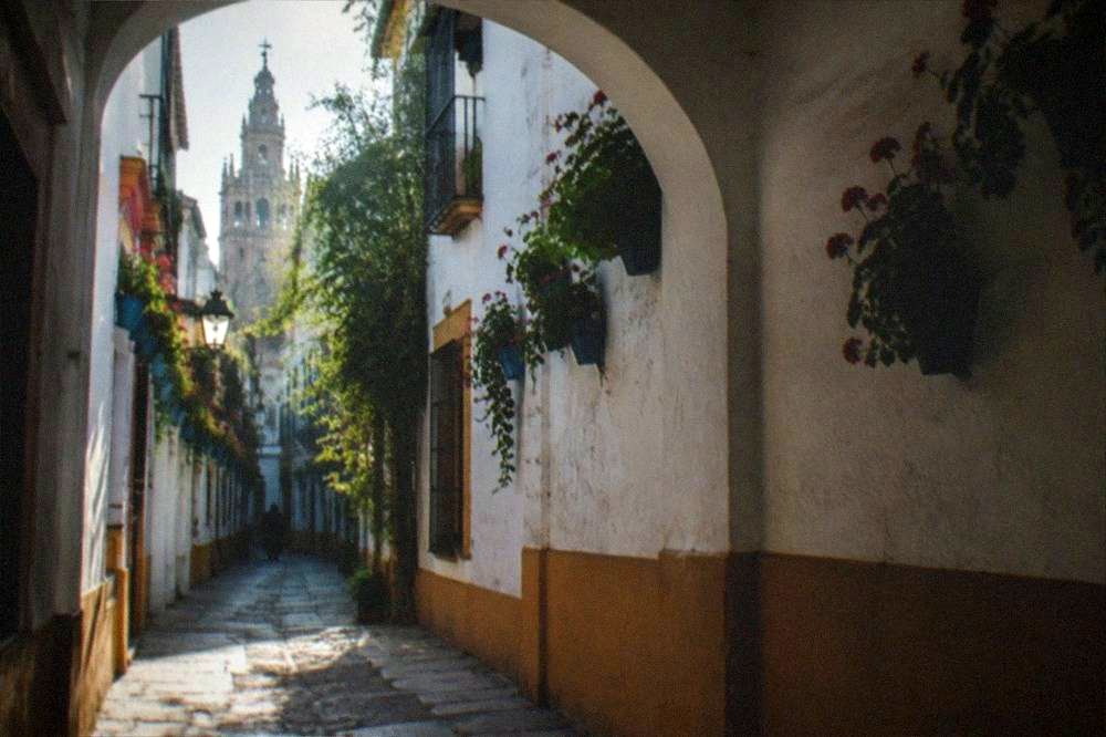 A narrow street in Seville with white walls, arched doorways and hanging flower baskets