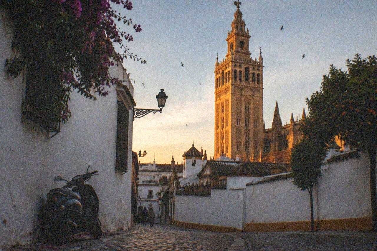 The Giralda tower rising above the rooftops of Seville's old centre