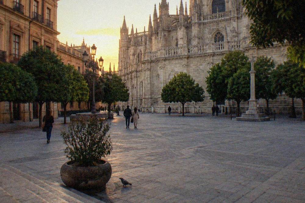 A wide stone plaza in central Seville with orange trees and tall facades in evening light