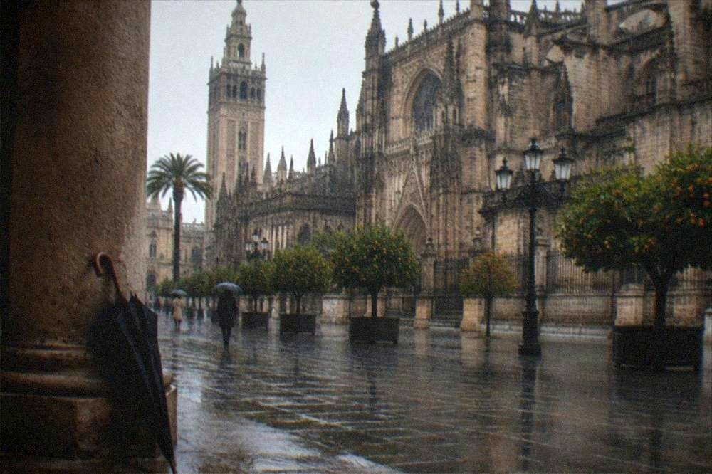 A plaza with orange trees and arcaded buildings in Seville's historic centre