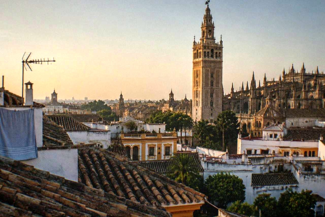 The Giralda tower rising above Seville Cathedral and the rooftops around it