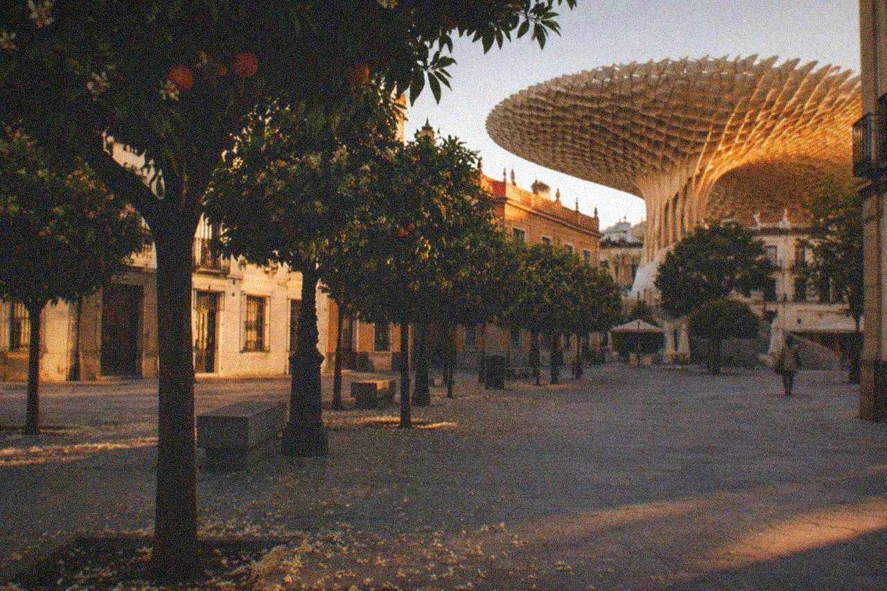 A Seville square with historic facades and orange trees under a warm sky