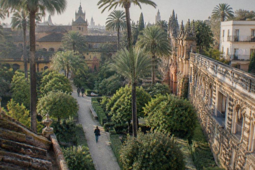 Carved stone gateway and palm-lined garden path of a Seville palace