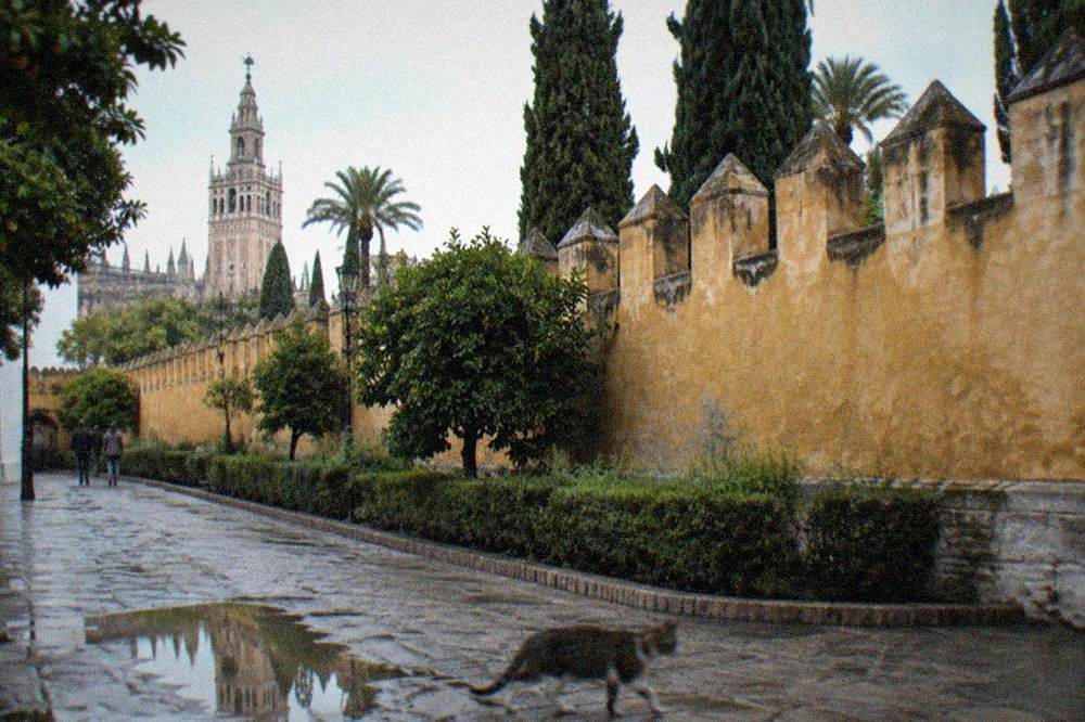 Ornamental pool and clipped hedges in a walled palace garden in Seville