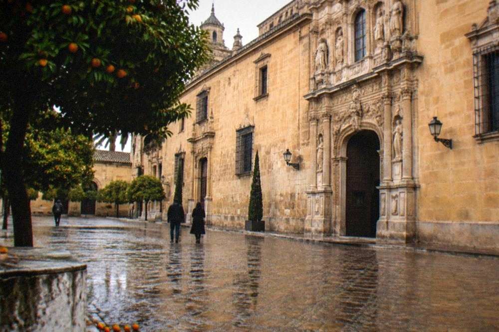 A museum gallery with framed paintings hung on stone walls