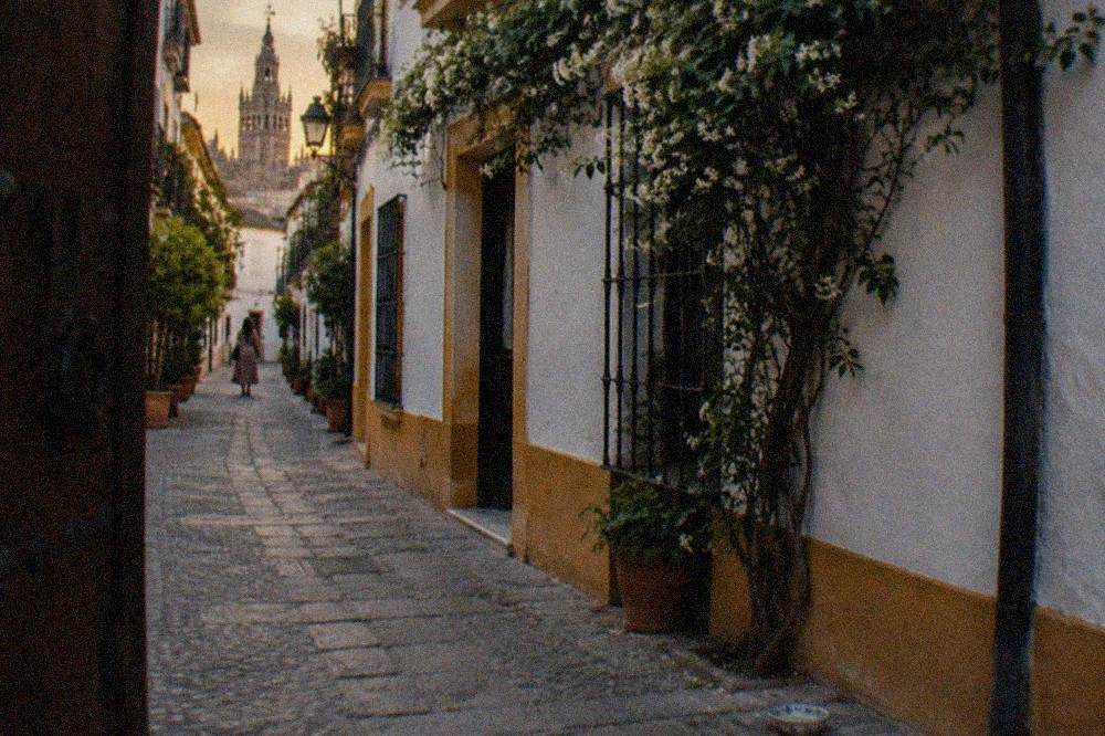 Historic centre street in Seville with old buildings and tall trees under a clear sky