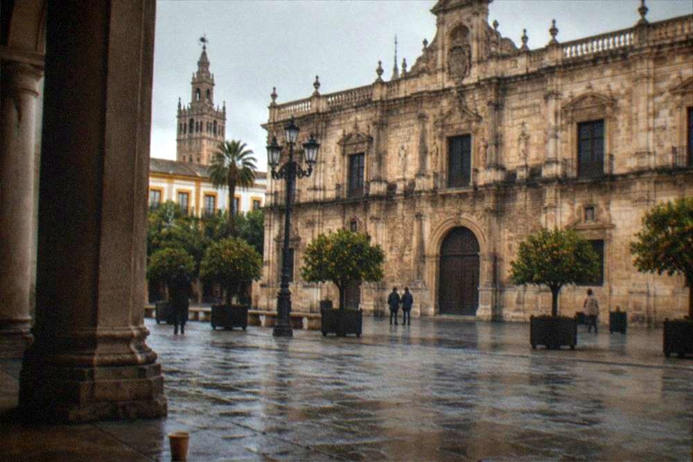 City square with a Renaissance building facade, palm trees and open pavement in daylight
