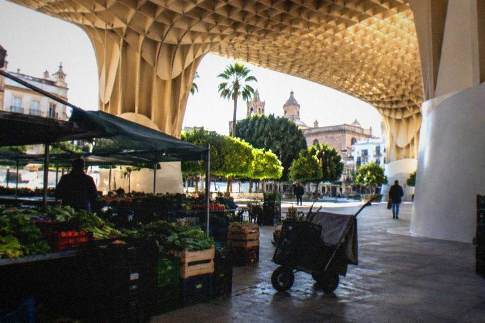 The market hall beneath the Metropol Parasol in Seville