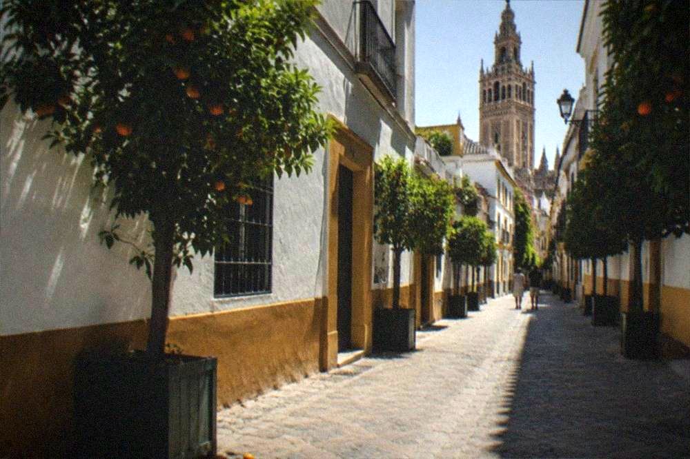 Orange trees and narrow lanes in the Santa Cruz quarter with a church tower behind.