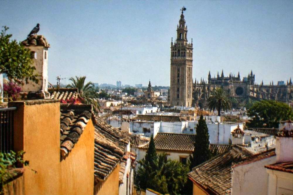 The Giralda tower rising above the rooftops of Seville under a clear sky