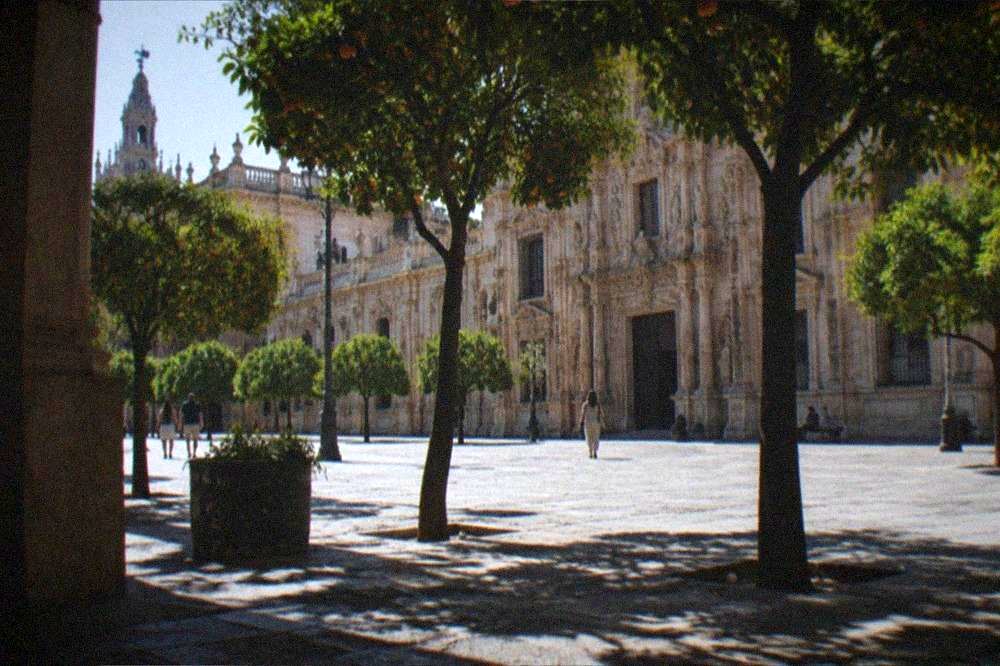 A shaded square in Seville's historic centre with orange trees and stone buildings