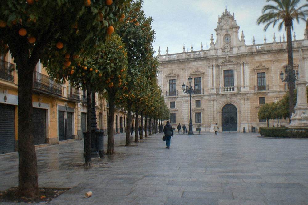 A quiet Seville plaza with orange trees and shuttered facades
