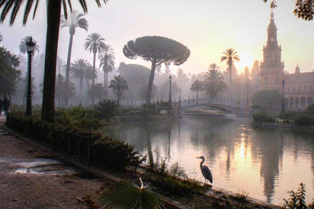 Palm-lined paths and ponds in the Parque de María Luisa