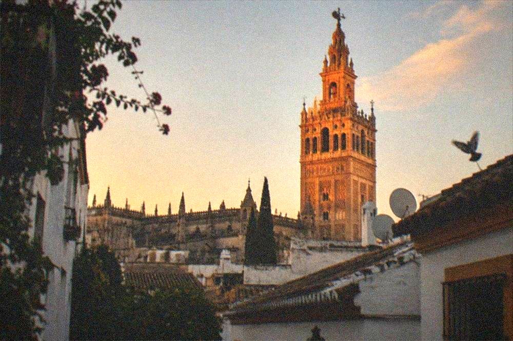 Torre de la Giralda elevándose sobre el perfil de la Catedral de Sevilla bajo la luz cálida del atardecer